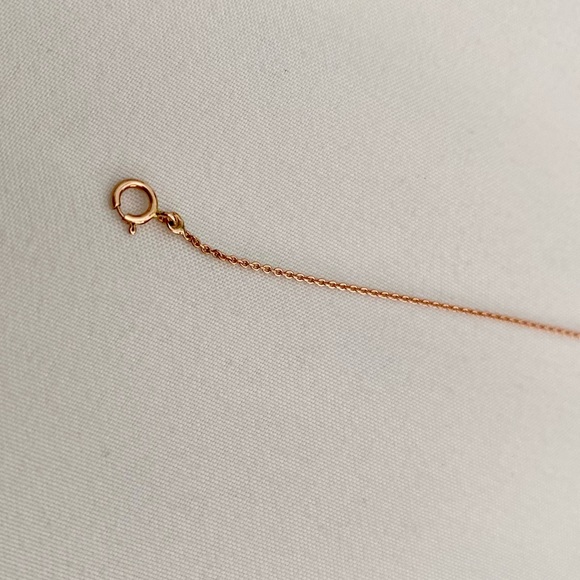 Stone and Strand Rose Gold Anklet - Picture 4 of 7